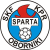 logotyp drużyny