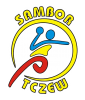 logotyp drużyny